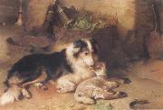 Walter Hunt The Shepherd-s Pet oil painting reproduction